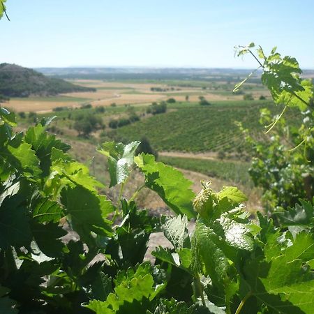 La Cantamora Hotel Rural Pesquera De Duero Екстер'єр фото