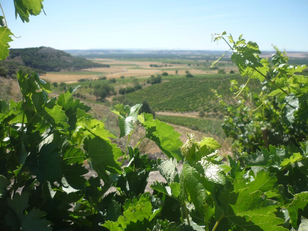La Cantamora Hotel Rural Pesquera De Duero Екстер'єр фото